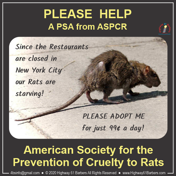 Adopt a Rat