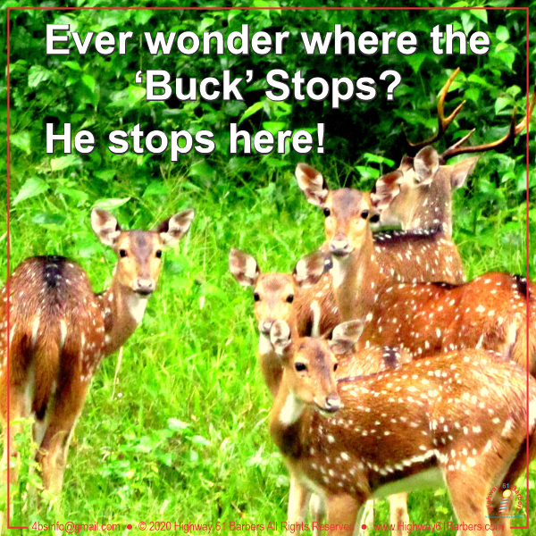 Where Does the Buck Stop?