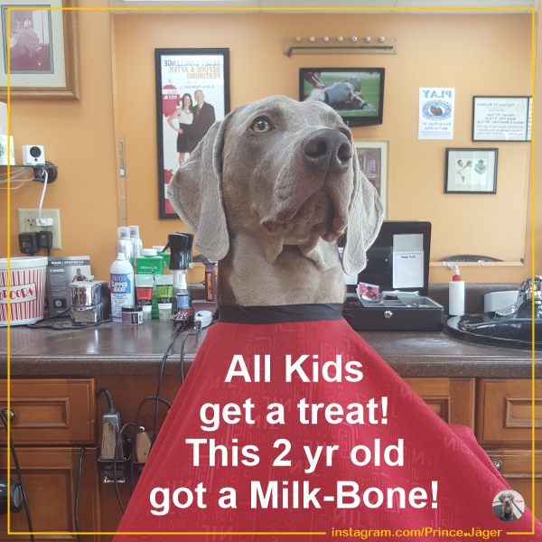 Treats for Kids