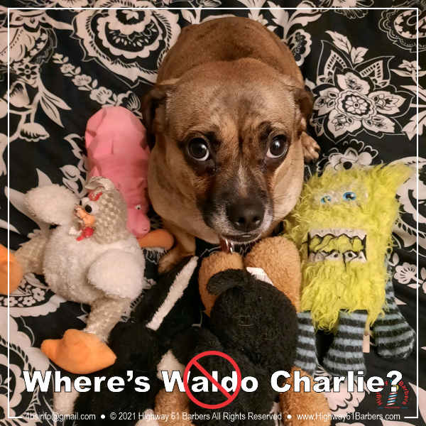 Where's Charlie 1