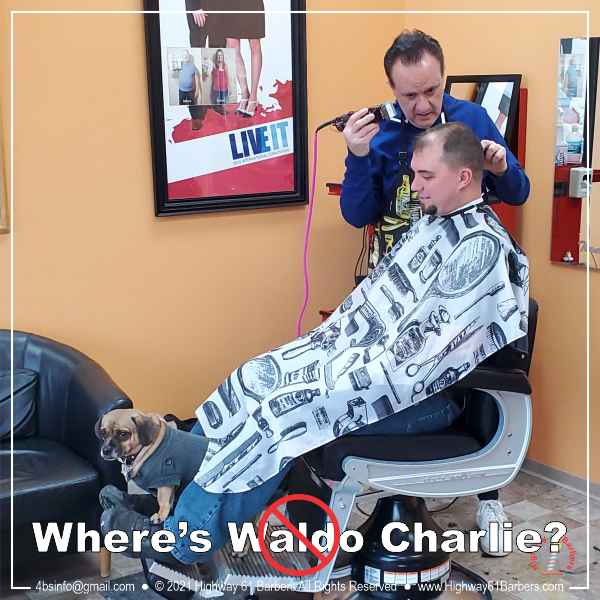 Where's Charlie 2