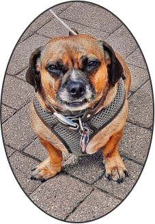 Sir Charlie